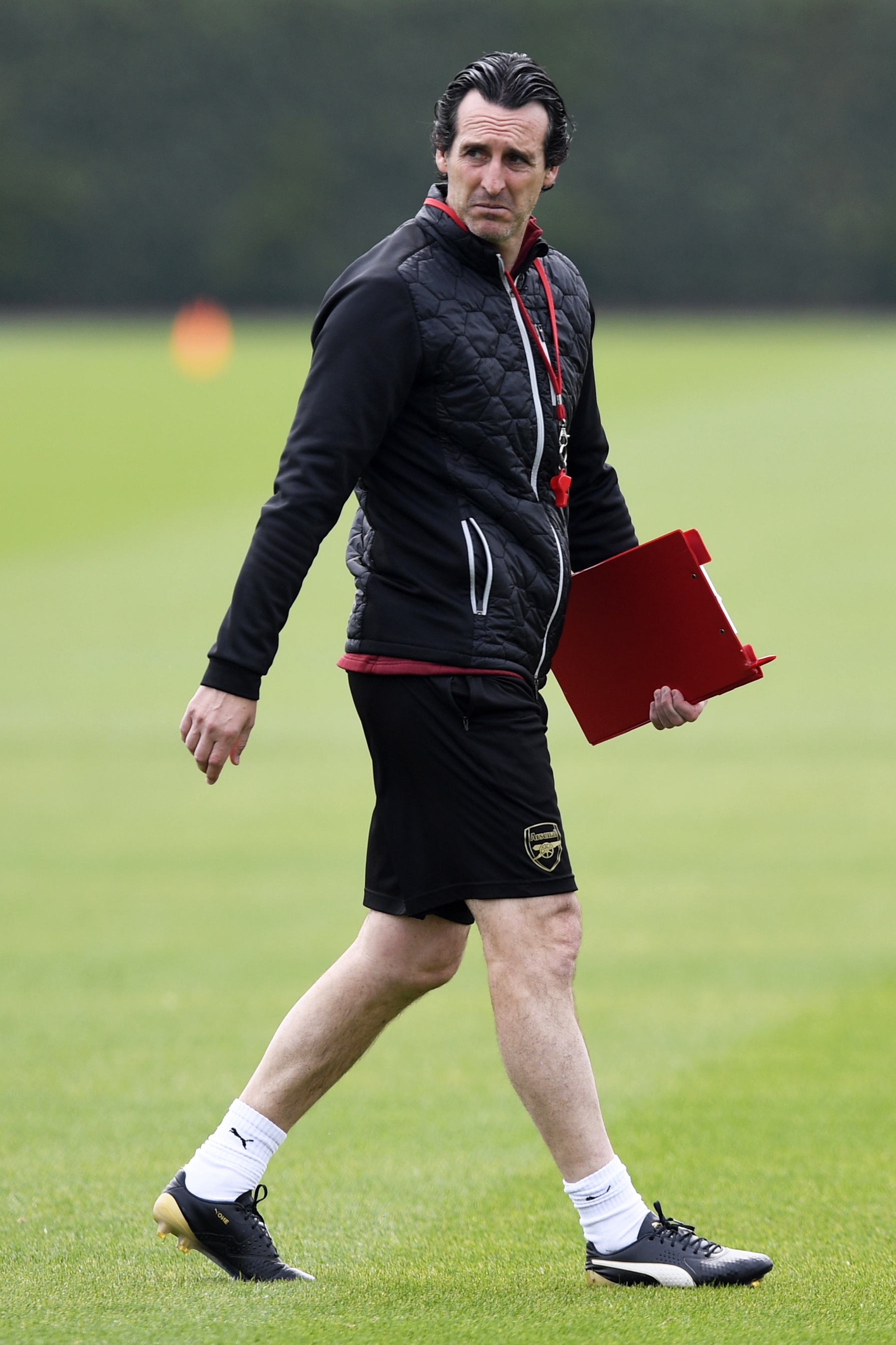 记者：加图索准备征召帕莱斯特拉，已派意大利队球探多次考察（记者曝：加图索计划征召帕莱斯特拉，意大利队球探已多次考察）